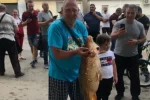 Мужчина в подтопленных Черновцах поймал руками огромного карпа в луже, видео: "не менее 10 кг"