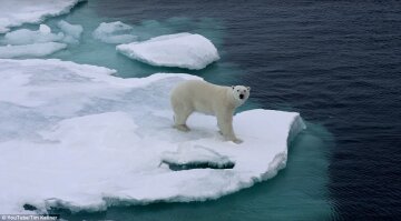 Льодовики, які знищить глобальне потепління (фото)