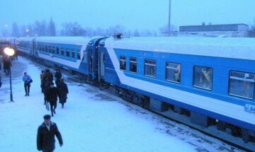 Пасажирів поїзда "Укрзалізниця" атакували мерзенні тварі, фото наслідків: "Їх вже багато розвелося"