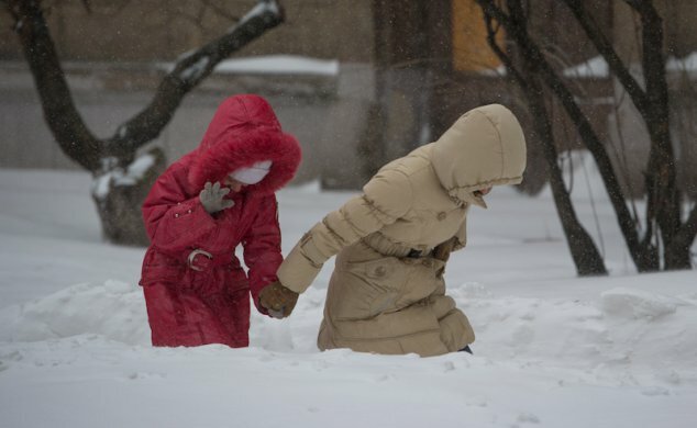 fur9016.jpg_17796_s2