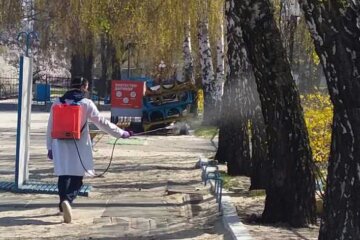 Хімікати кинули в бій на київські пляжі, фото: "для знищення..."