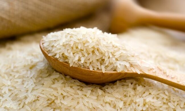 rice