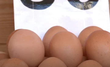 Подорожание яиц в Харькове
