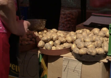 Подорожание продуктов в Винницкой области