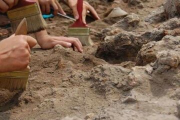археологи, раскопки