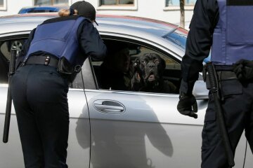 На українських водіїв чекають кардинальні зміни: деталі нової ініціативи