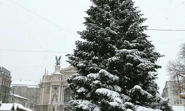 Динозавры «поселились» в центре Львова: «Движутся и рычат», видео