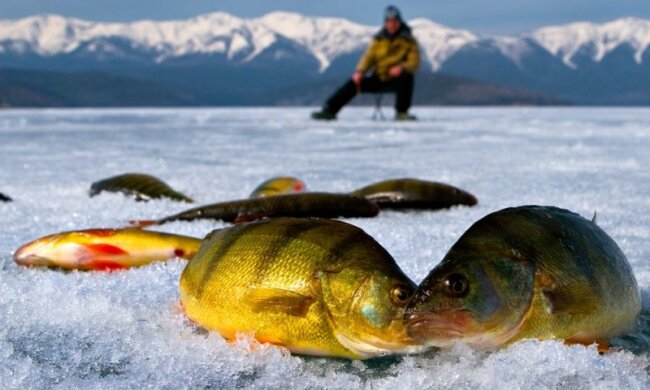 экипировка для зимней рыбалки