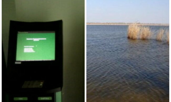 Утопил в ставку: предприниматель обокрал терминал в собственном магазине, подробности странного дела