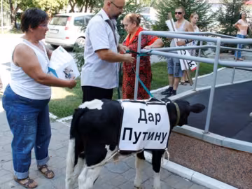 Росіяни подарували Путіну голодне теля