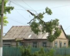 Стихия натворила беды в Харьковской области: кадры последствий