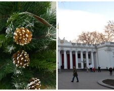 "Лучше ведьмовской шляпы": в Одессе установили елку с нестандартной верхушкой, фото