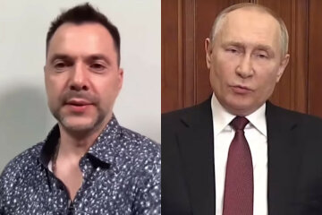 путин, арестович