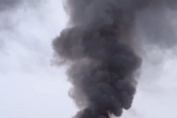 "Полностью сгорел": появились кадры с места новой авиакатастрофы в россии