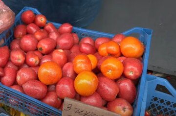 помідори, томати, овощі, магазин