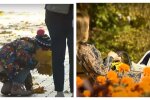 Сразу два "бабьих" лета: синоптики обещают возвращение тепла в Украину, названы даты