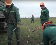 Графіки вимкнення світла в Одесі на тиждень з 10 по 16 березня