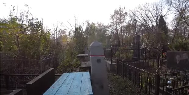 ����: politeka.net