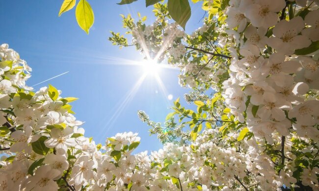 Погода на 5 апреля