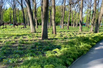 Прогноз погоди на тиждень з 6 по 12 квітня у Дніпрі