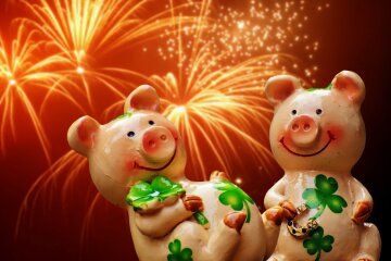 китайский гороскоп на 2019 год, свинья