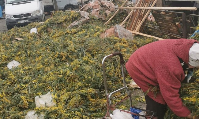 У Києві городяни обурюються через звалище квітів: "Фура полегшилася", кадри вражають