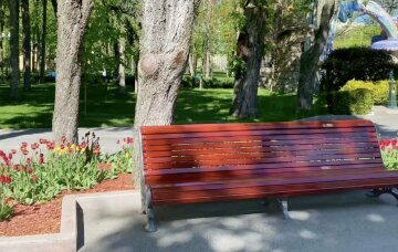 Прогноз погоды на неделю в Харькове с 10 по 16 апреля.