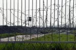 проволока забор