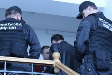 налоговая милиция