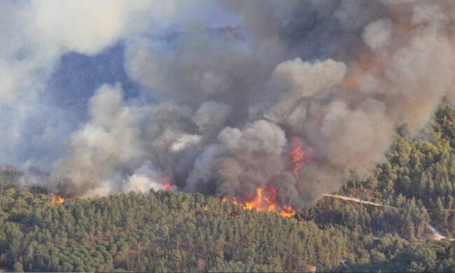 Заражене повітря з Чорнобиля погнало прямо на Київ, пожежі не вщухають: термінова заява