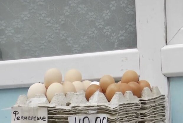 ����: politeka.net