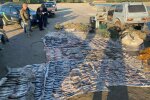 Сетки протяженностью более километра: на Кременчугском водохранилище задержали браконьера с уловом на 1,3 млн гривен