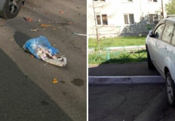 "Твоему корыту здесь не рады": киевляне наказали водителя за неправильную парковку, фото