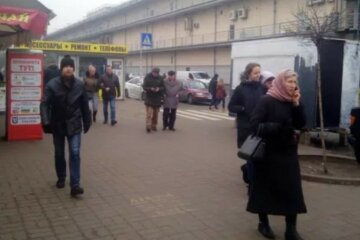 У київському кафе помітили гризунів, гримить скандал: "Все ж свіже"
