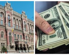 З України зникають долари: термінова заява НБУ про втрату мільярдів