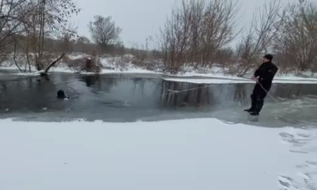 з водойми вилучено тіло восьмирічної дитини