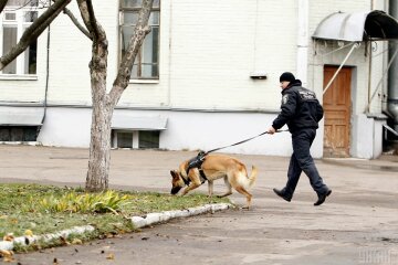 кинолог полиция собака