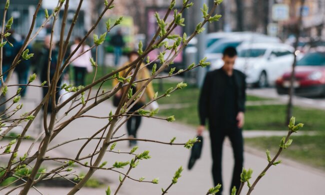Погода в Харкові: що принесуть вихідні