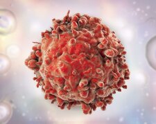 Не уничтожать: новый подход ученых сделал лечение рака вопросом времени