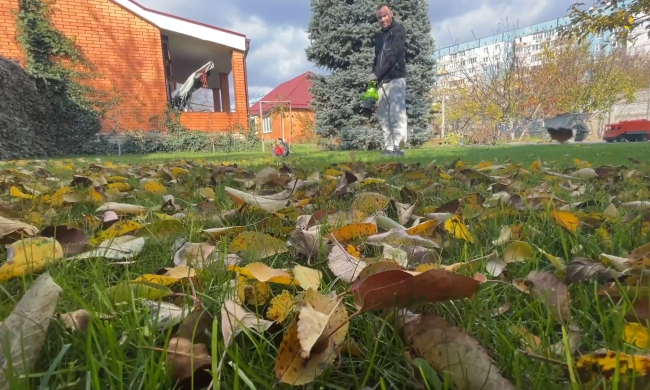 листя, осінь