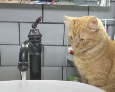Отключение воды в Одессе 8 мая