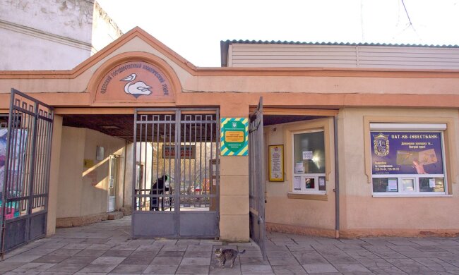 Аномальна погода створила диво в Одеському зоопарку: вражаючі кадри