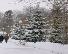 Прогноз погоди на тиждень з 22 по 28 грудня у Києві