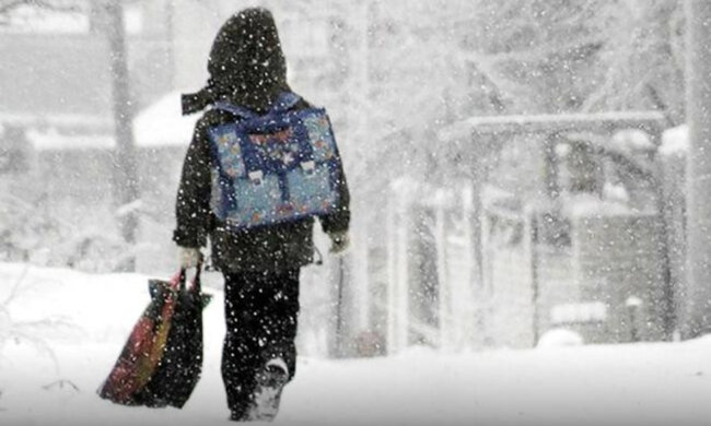 Божевільна жінка нападає на дітей у Дніпрі, фото: "хапала школярок за руки і..."