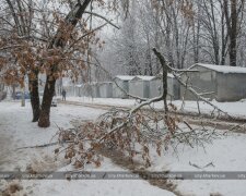 В Украине из-за непогоды обесточены 10 населенных пунктов в нескольких областях