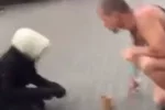 Бабушка-попрошайка из Киева оказалась усатым мужчиной: видео разоблачения