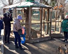 Одесский зоопарк пополнился новыми малышами: фото чудо-обитателей