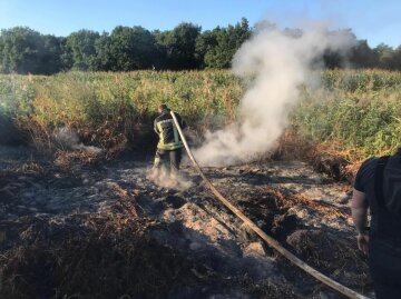 торф, пожар, смог, Киевская область