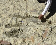 Кам’яний дракон: вчені показали вражаюче зберігся динозавра (фото, відео)