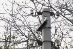 графики отключения света в Днепропетровской области на 14 мая